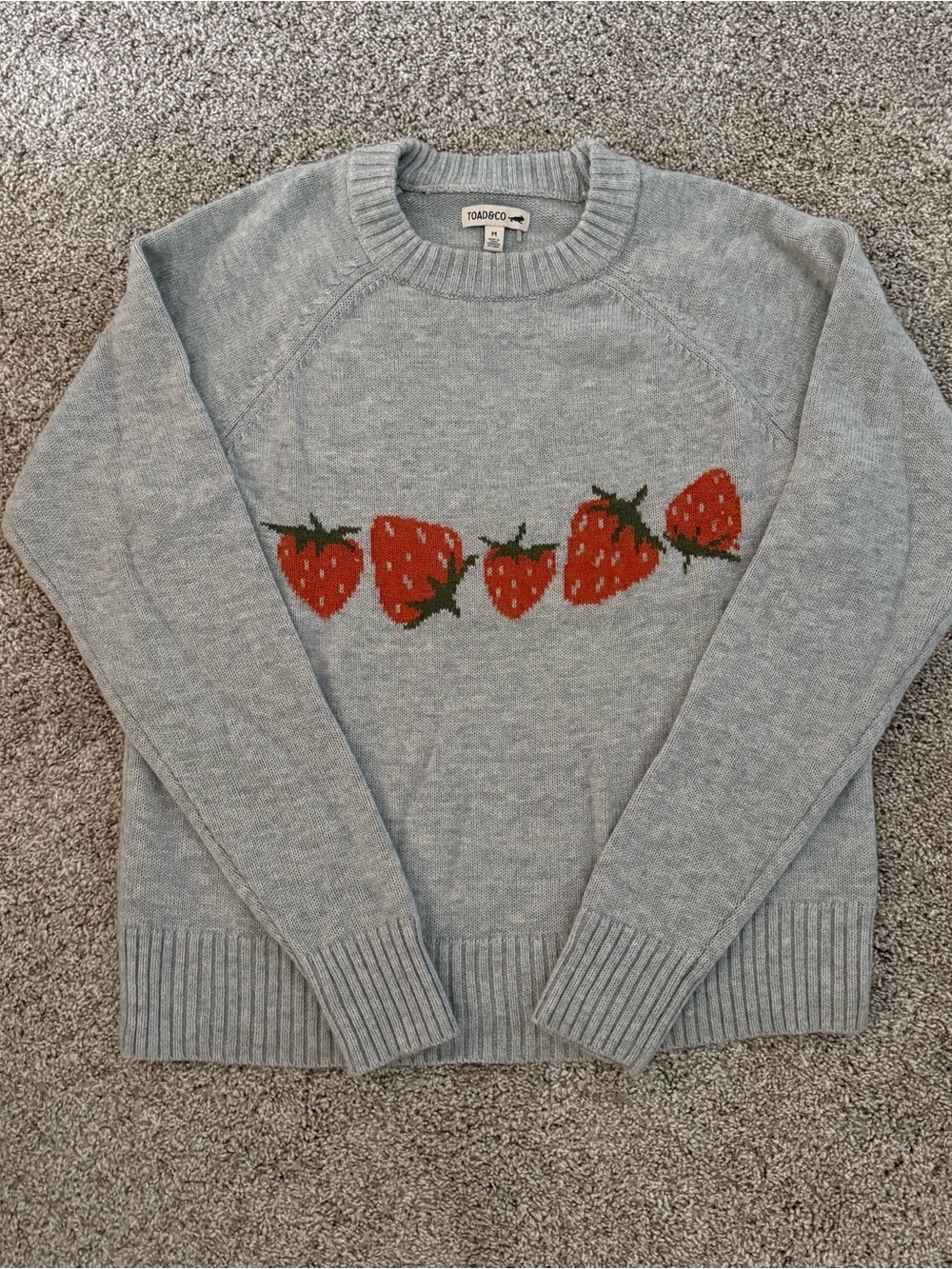 Toad & Co Strawberry Sweater
